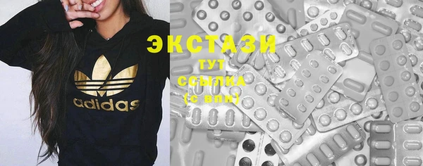 стаф Богданович
