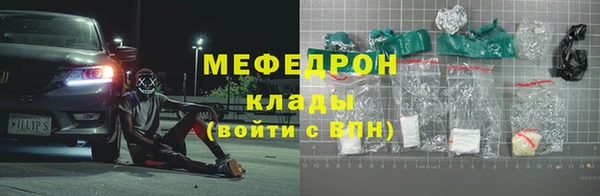 стаф Богданович
