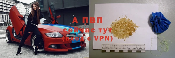 стаф Богданович
