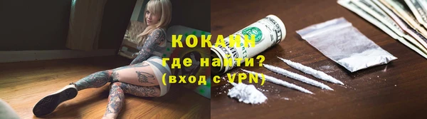 стаф Богданович
