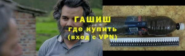 стаф Богданович