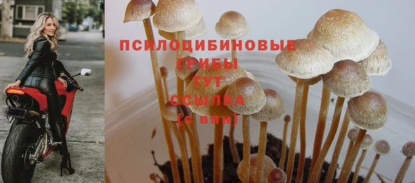 кокаин премиум Богородицк