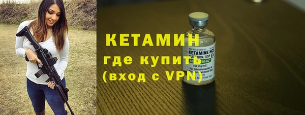 стаф Богданович