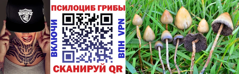 Галлюциногенные грибы MAGIC MUSHROOMS  Можайск 